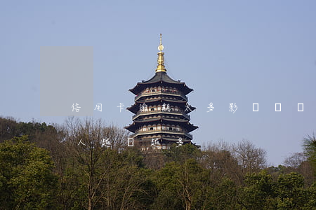 信用卡逾期太多影響嗎(為什么信用卡逾期的人越來越多)