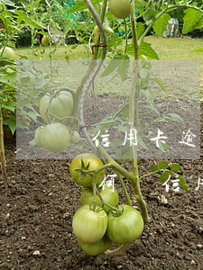 信用卡逾期太多怎么處理(有嚴重逾期記錄如何辦信用卡)