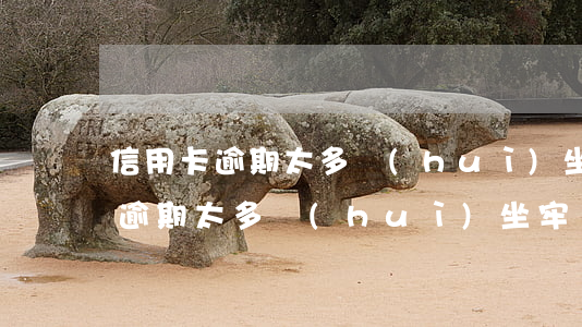 信用卡逾期太多會(huì)坐牢-信用卡逾期太多會(huì)坐牢