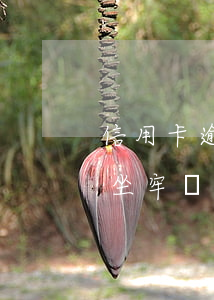 信用卡逾期太多會坐牢嗎(信用卡逾期太多會坐牢嗎)
