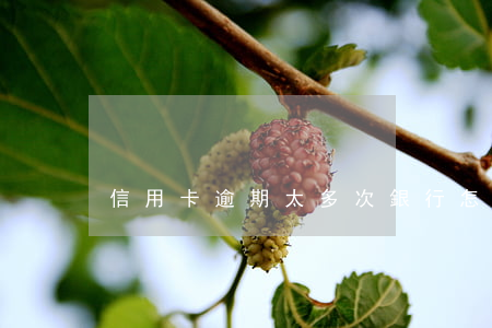 信用卡逾期太多次銀行怎么恢復(fù)