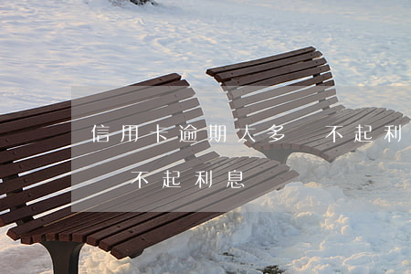 信用卡逾期太多還不起利息(信用卡逾期太多還不起利息)