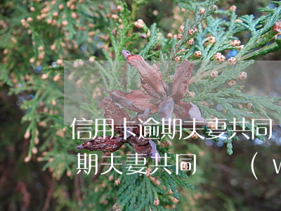信用卡逾期夫妻共同債務(wù)(信用卡逾期夫妻共同債務(wù)怎么還)