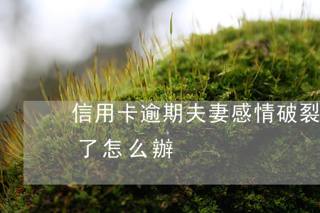 信用卡逾期夫妻感情破裂怎么辦 信用卡 逾期了怎么辦
