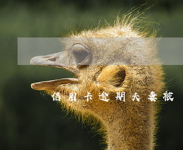 信用卡逾期夫妻被訴訟(信用卡逾期的案由起訴)