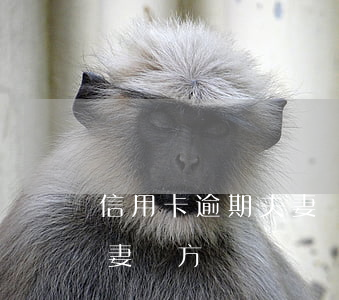 信用卡逾期 夫妻雙方能貸款嗎（信用卡逾期 夫妻雙方）