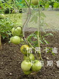 信用卡逾期夫妻離婚有影響沒-離婚了信用卡逾期會影響孩子嗎