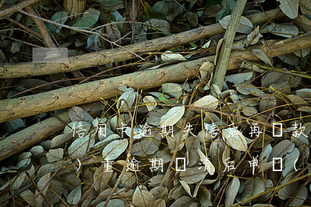 信用卡逾期失信后再還款怎么辦(嚴(yán)重逾期還清后申請(qǐng)信用卡)