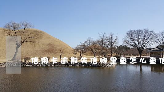 信用卡逾期失信哪里查 怎么查信用卡逾期情況