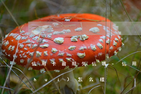 信用卡逾期失信嗎-信用卡逾期失信嗎會(huì)怎么樣