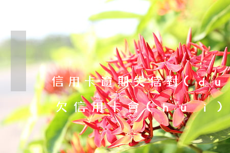 信用卡逾期失信對(duì)孩子有影響嗎(欠信用卡會(huì)不會(huì)影響孩子)