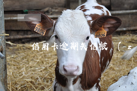 信用卡逾期失信被執(zhí)行人