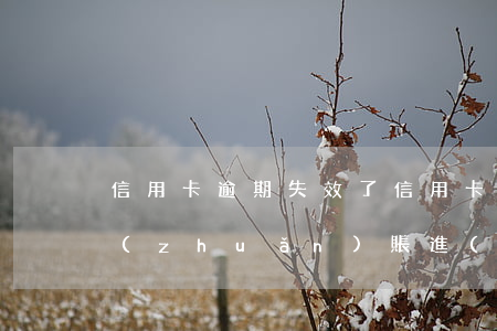 信用卡逾期失效了(信用卡逾期失效了還能轉(zhuǎn)賬進(jìn)去嗎)