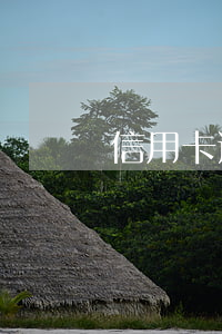 信用卡逾期失效后怎么恢復