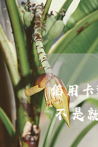 信用卡逾期失效沒注銷(信用卡到期失效了是不是就不需要注銷了)