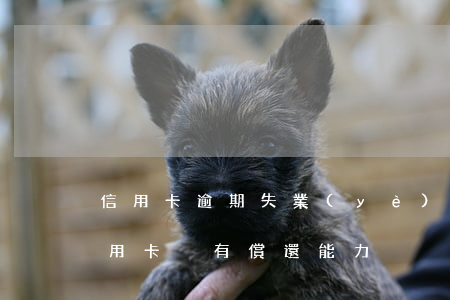 信用卡逾期失業(yè)沒有償還能力(欠信用卡沒有償還能力)