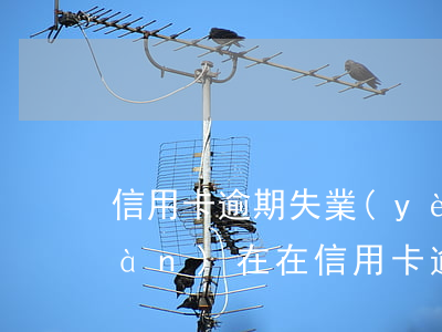 信用卡逾期失業(yè)金被劃扣(現(xiàn)在在信用卡逾期因為失業(yè)了怎么辦)