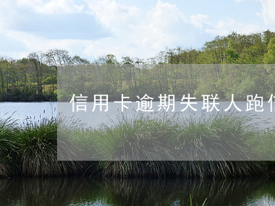 信用卡逾期失联人跑（信用卡逾期失联人跑）