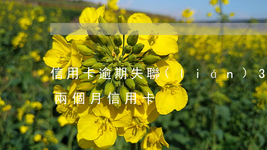 信用卡逾期失聯(lián)3個月-逾期兩個月信用卡