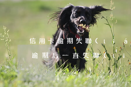 信用卡逾期失聯(lián)了但是有還款(逾期后一直失聯(lián))