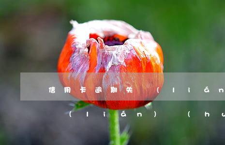 信用卡逾期失聯(lián)(信用卡逾期失聯(lián)會(huì)怎樣)