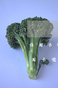 信用卡逾期失聯(lián)是什么意思(信用卡逾期失聯(lián)會怎樣)