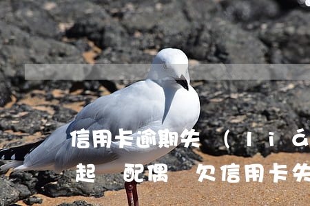 信用卡逾期失聯(lián)會(huì)起訴配偶嗎(欠信用卡失聯(lián))