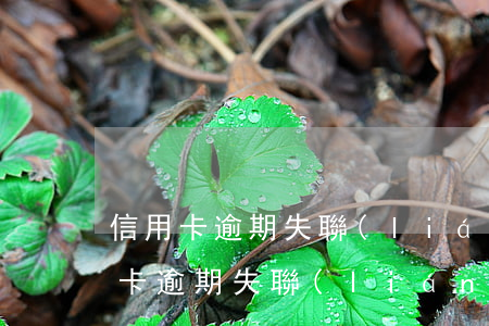 信用卡逾期失聯(lián)金額不大(信用卡逾期失聯(lián)金額不大怎么辦)