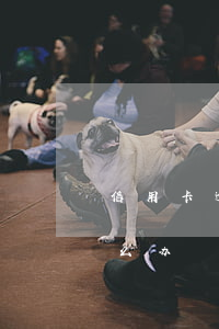 信用卡逾期失误怎么办(所有的信用卡逾期怎么办)