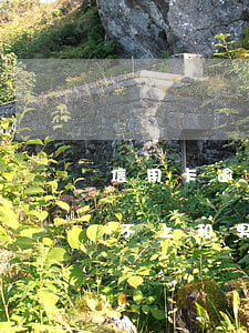 信用卡逾期女朋友不帮忙(女朋友欠信用卡还不上和男朋友关系吗)