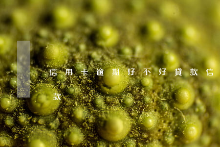 信用卡逾期好不好貸款 信用卡逾期好不好貸款