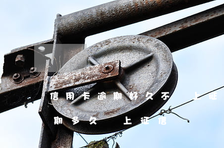 信用卡逾期好久不會上征信(貸款和信用卡逾期多久會上征信)