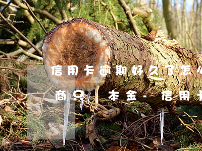 信用卡逾期好久了怎么跟銀行協(xié)商只還本金-信用卡逾期好久了怎么跟銀行協(xié)商只還本金呢