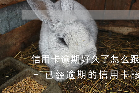 信用卡逾期好久了怎么跟銀行協商停息分期-已經逾期的信用卡,該如何與銀行協商暫緩還款