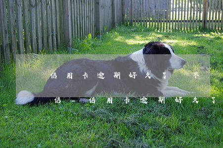 信用卡逾期好久了會不會凍結(jié)微信-信用卡逾期好久了會不會凍結(jié)微信零錢