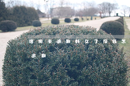 信用卡逾期好久了没钱怎么办(有没有信用卡逾期)