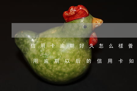 信用卡逾期好久怎么樣養(yǎng)回信用(逾期以后的信用卡如何才可以正常使用)