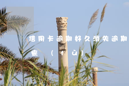 信用卡逾期好久消失(逾期停用的信用卡怎么恢復(fù))
