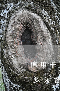 信用卡逾期好久銀行會上門(欠銀行信用卡錢多久會上門)