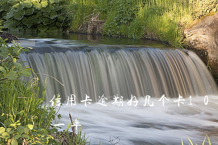 信用卡逾期好几个卡(10张信用卡全部逾期一年)