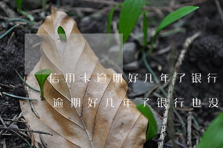 信用卡逾期好几年了银行也没动静-信用卡逾期好几年了银行也没动静怎么办