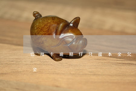 信用卡逾期好只還本金(欠銀行信用卡只還本金)