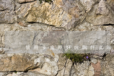 信用卡逾期好坑啊(什么叫信用卡嚴(yán)重逾期)