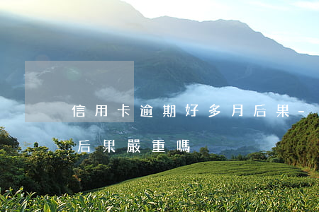 信用卡逾期好多月后果-信用卡逾期好多月后果嚴重嗎