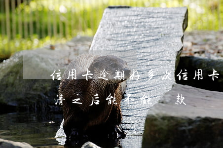 信用卡逾期好多次 信用卡逾期好多次最后還清之后能不能貸款