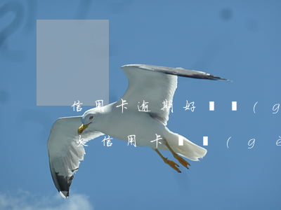 信用卡逾期好幾個(gè)月還不上怎么辦(欠信用卡幾個(gè)月沒還了會怎么樣)