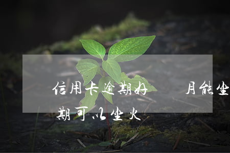 信用卡逾期好幾個月能坐火車嗎(欠信用卡逾期可以坐火車嗎)
