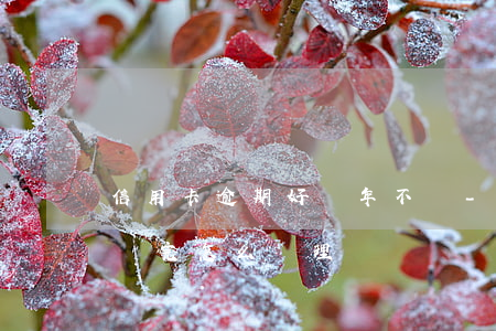 信用卡逾期好幾年不還-逾期幾年的信用卡還完怎么處理