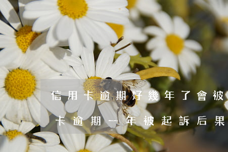 信用卡逾期好幾年了會被立案嗎 幾十萬信用卡逾期一年被起訴后果會怎么樣