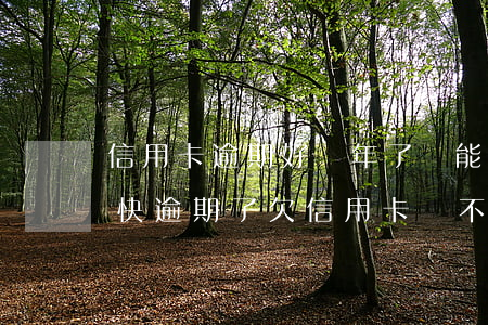 信用卡逾期好幾年了還能協(xié)商嗎 快逾期了欠信用卡還不起跟銀行能有協(xié)商的可能性嗎